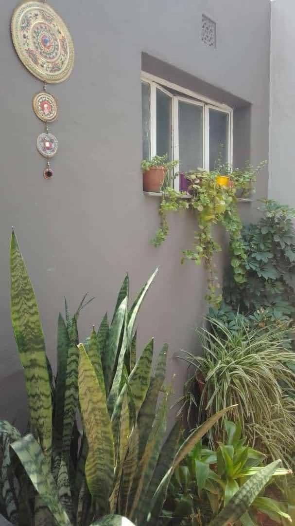 Ha! 1 Resi Para Estudiantes Cordoba Dış mekan fotoğraf